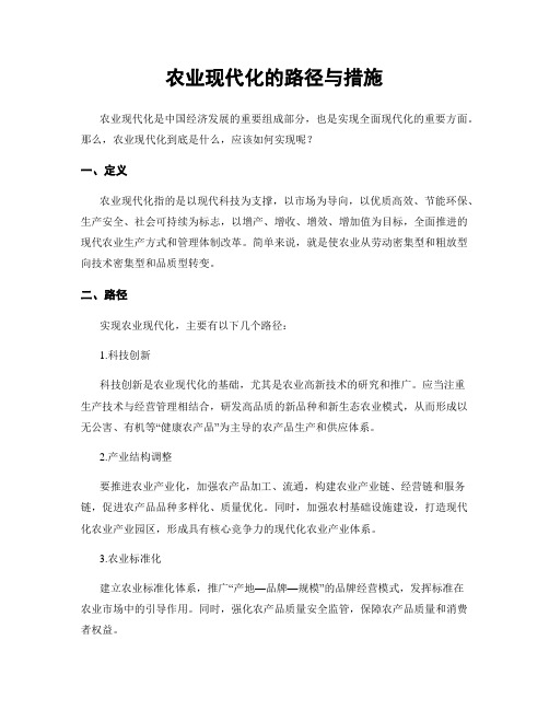 农业现代化的路径与措施