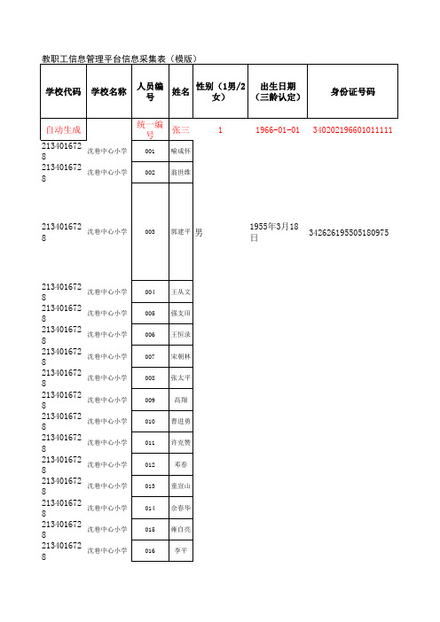 沈巷中心小学教职工信息管理平台数据采集表