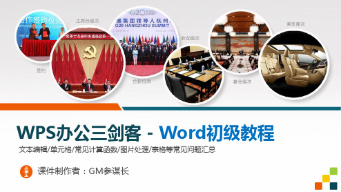 word使用技巧大全-WPS教程-WPS办公三剑客初级教程