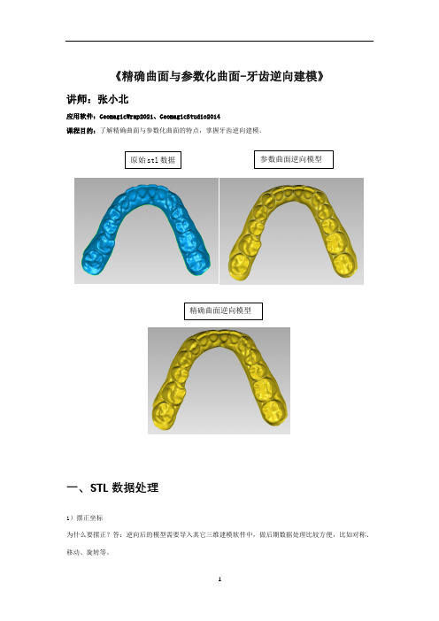 GeomagicWrap精确曲面与参数化曲面曲面-牙齿逆向建模