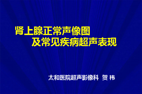 肾上腺正常声像图及常见疾病超声表现