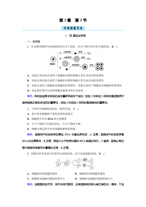 2022年人教版高中生物必修第一册同步培优第3章细胞的基本结构第3节细胞核的结构和功能