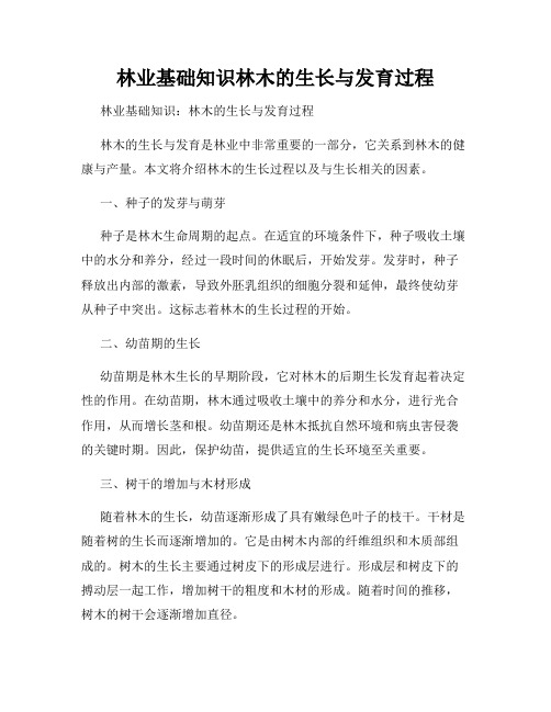 林业基础知识林木的生长与发育过程