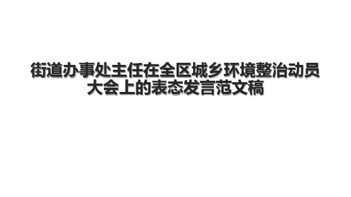 街道办事处主任在全区城乡环境整治动员大会上的表态发言范文稿