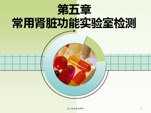 [诊断学] 常用肾功能实验室检测