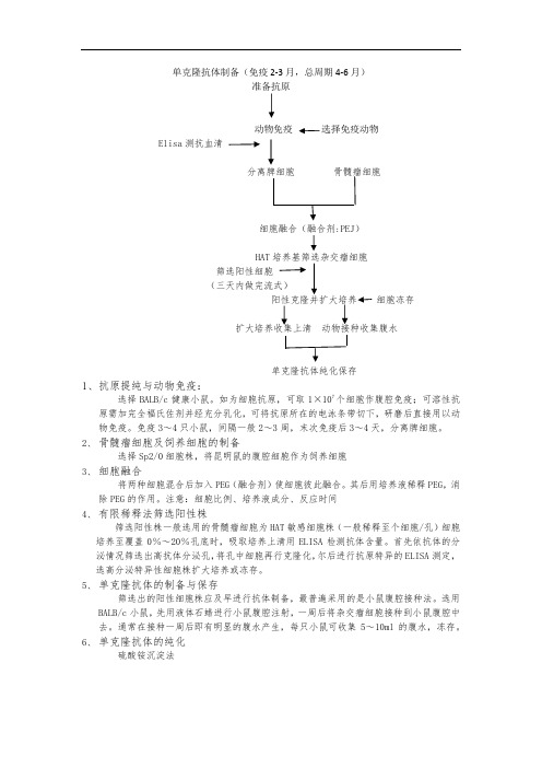 单克隆抗体制备简要流程