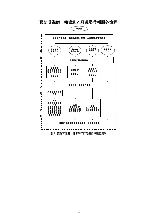 预防艾滋病梅毒乙肝母婴传播服务流程