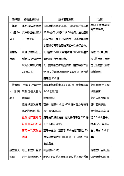 洋葱全程种植管理技术