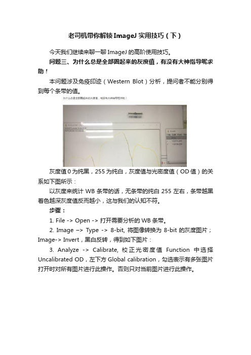 老司机带你解锁ImageJ实用技巧（下）