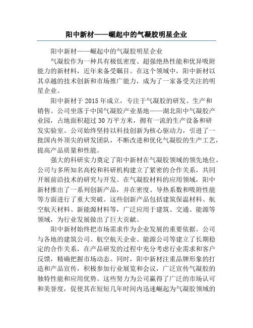 阳中新材——崛起中的气凝胶明星企业