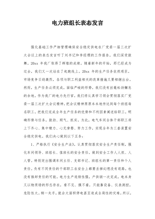 电力班组长表态发言