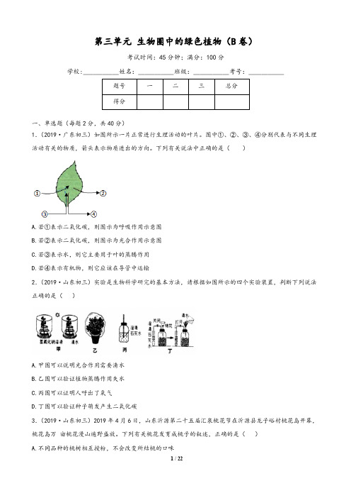 2019-2020学年七年级上册生物AB卷(人教版)：第三单元 生物圈中的绿色植物(B卷提升篇)(含解析版答案)