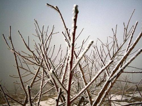 高考物理专题复习：电磁感应的图象问题