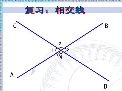 《垂线》课件