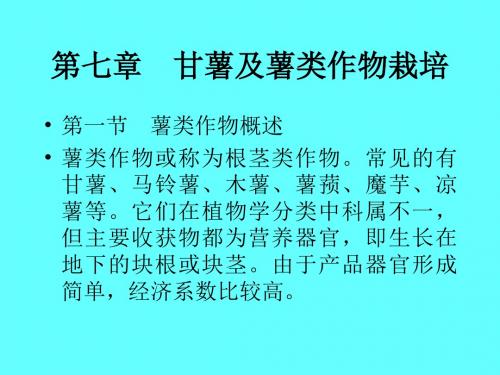 第十三章甘薯及薯类作物栽培技术