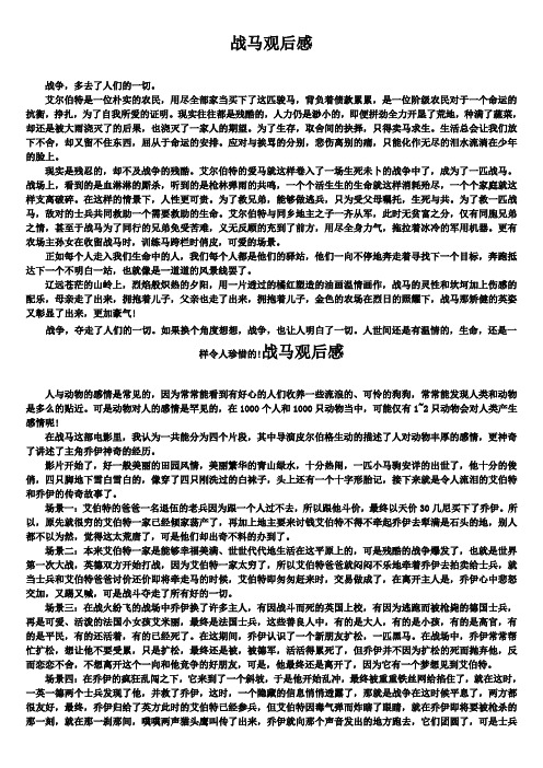 战马观后感word文档5篇精选