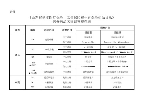 《山东省基本医疗保险、工伤保险和生育保险药品目录》