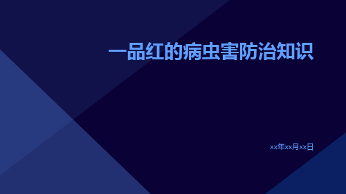 一品红的病虫害防治知识：常见病虫害及防治方法