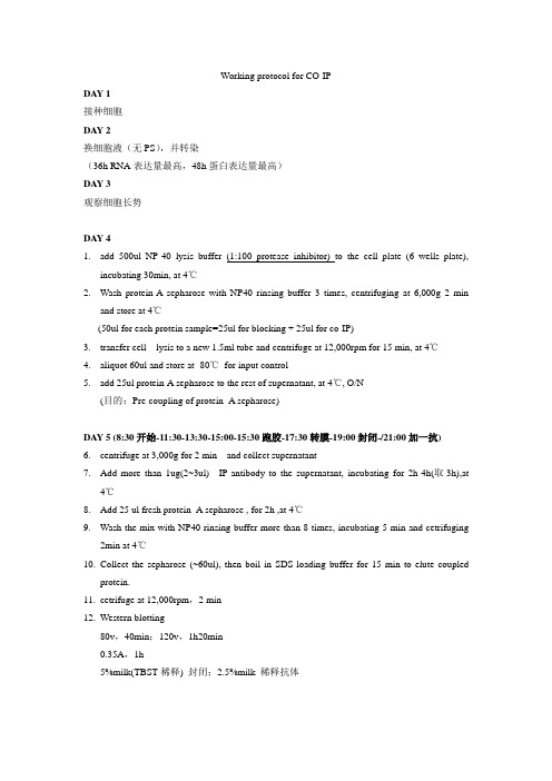 CO-IP protocol