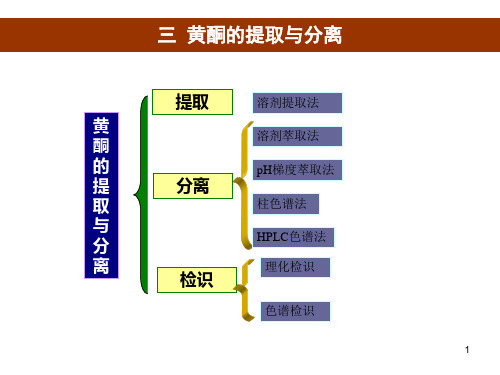 黄酮溶剂提取法PPT演示文稿