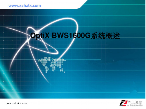 OptiX BWS1600G系统概述