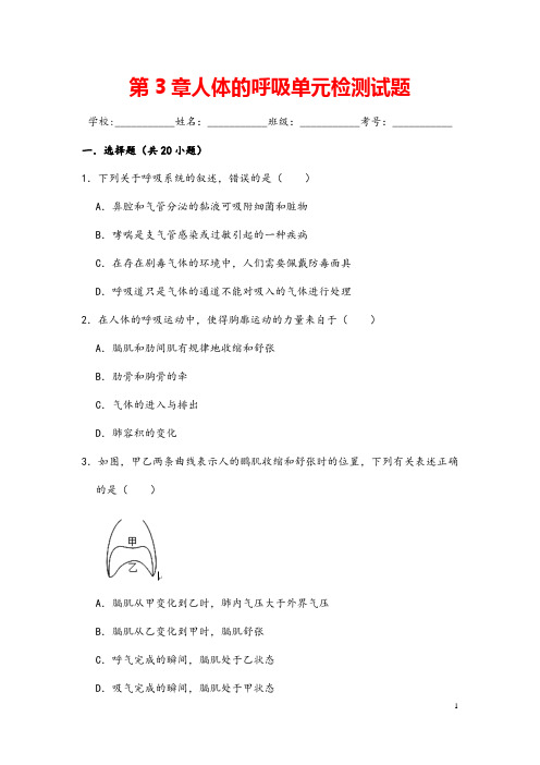 (最新)生物七年级下册《第三章人体的呼吸》单元检测试题(含答案)