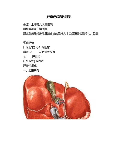 胆囊癌超声诊断学