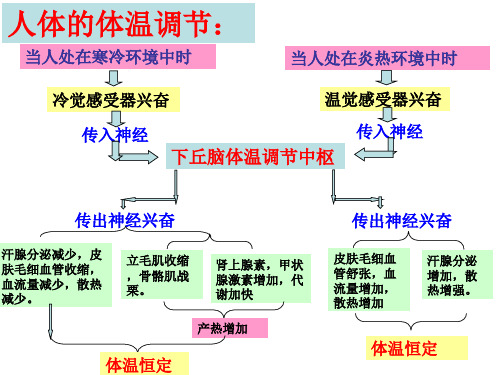 体温调节和水盐平衡调节1