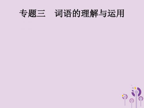 2019年中考语文总复习优化设计第一板块专题综合突破专题三词语的理解与运用课件新人教版