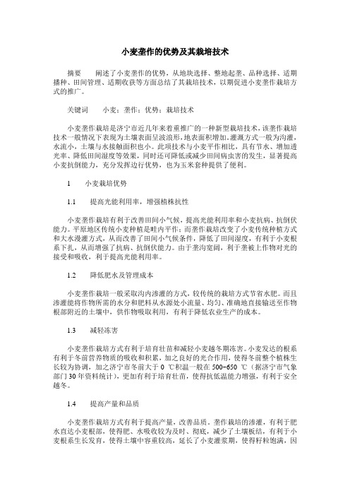 小麦垄作的优势及其栽培技术