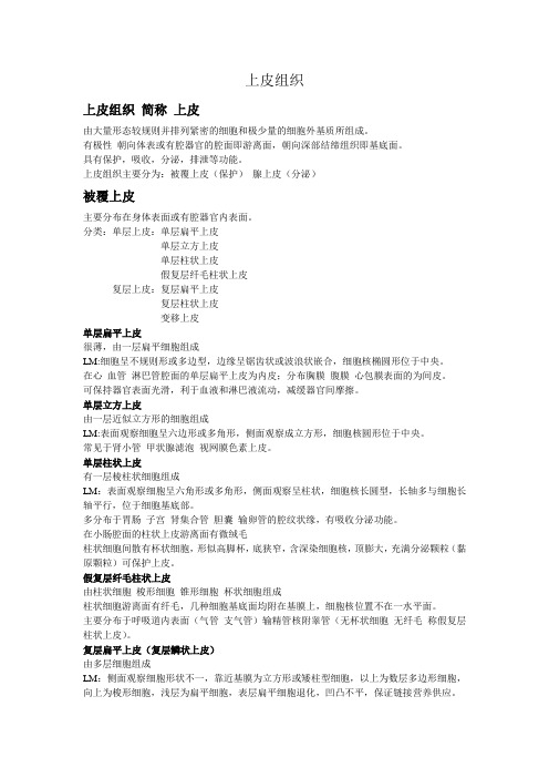 上皮组织总结