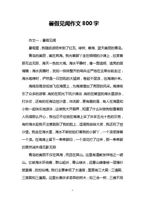 暑假见闻作文800字