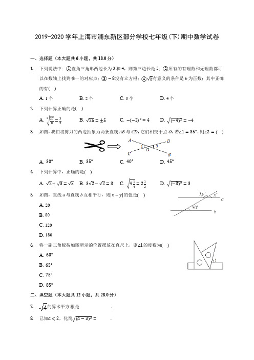 2019-2020学年上海市浦东新区部分学校七年级(下)期中数学试卷(含答案解析)