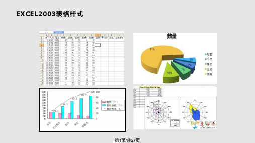 Excel2003PPT课件