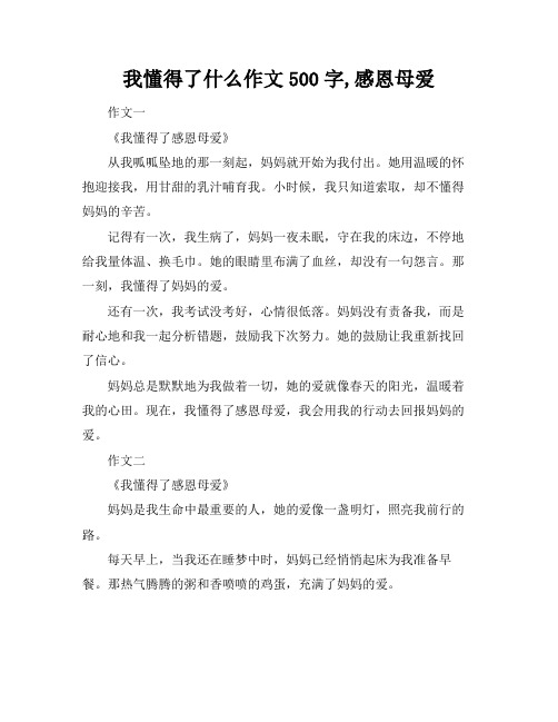 我懂得了什么作文500字,感恩母爱