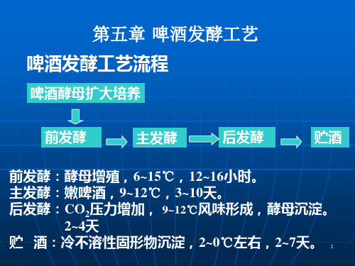 啤酒发酵工艺(PPT课件)