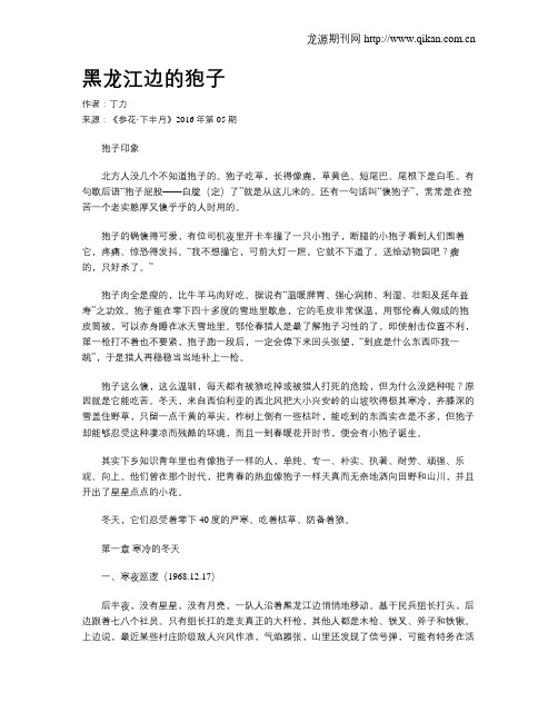 黑龙江边的狍子