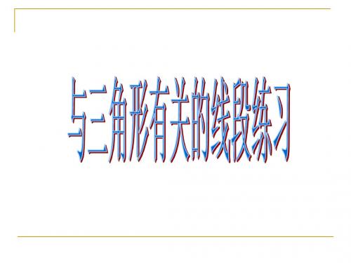 11.1与三角形有关线段练习题
