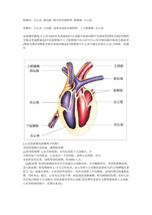 心脏循环