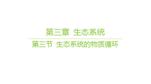 苏教版高中生物学选择性必修2生物学与环境精品课件 第三章 生态系统 04-第三节 生态系统的物质循环