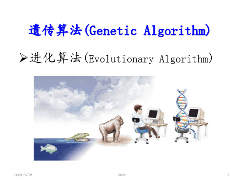 遗传算法(GeneticAlgorithm)PPT课件