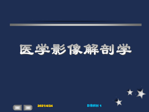 颈部、头颈部影像解剖