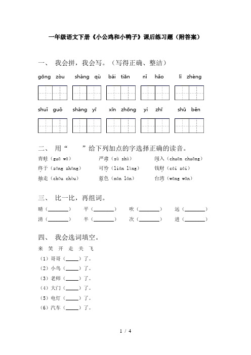 一年级语文下册《小公鸡和小鸭子》课后练习题(附答案)