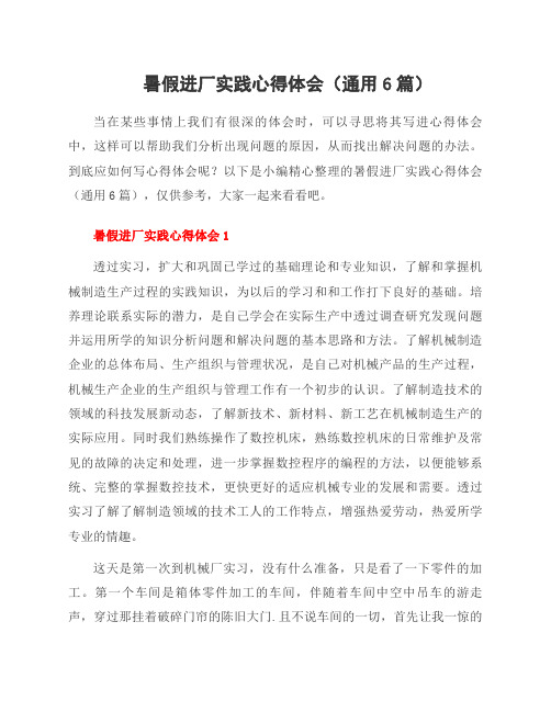 暑假进厂实践心得体会(6篇)