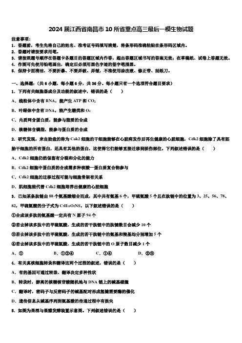 2024届江西省南昌市10所省重点高三最后一模生物试题含解析