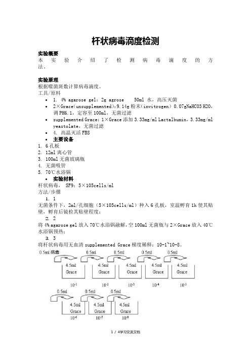 噬菌斑测病毒滴度