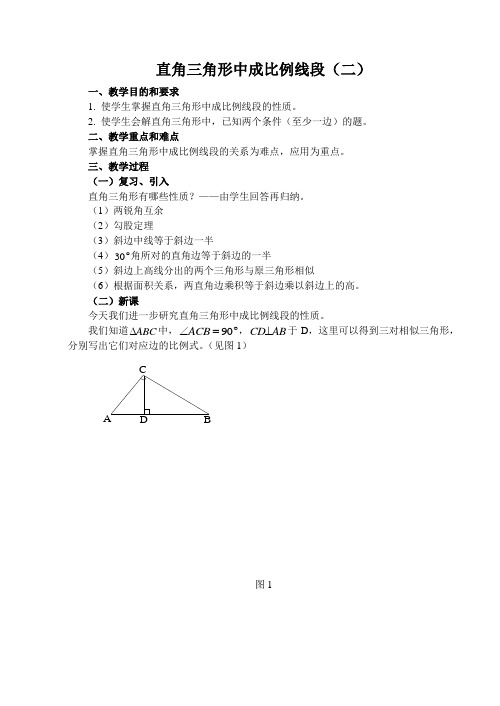 直角三角形中成比例的线段(2)