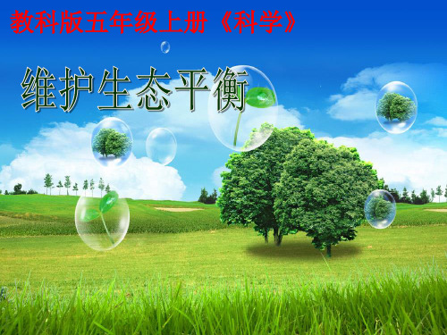 五年级上册科学课件 维护生态平衡教科版 (共23页)PPT