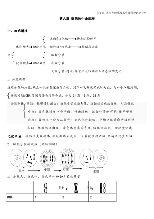 (完整版)第六章细胞的生命历程知识点详解