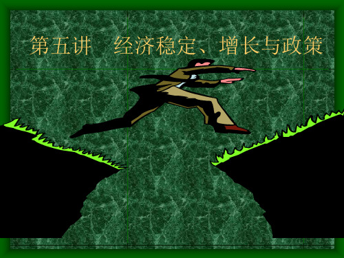 第五讲经济稳定增长与政策-PPT精选
